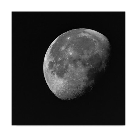 Brenda Petrella Photography Llc 'Near Side Of The Moon' Canvas Art,24x24